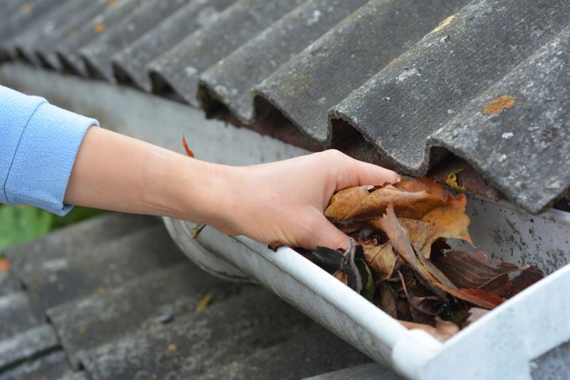 Gutter Maintenance Service